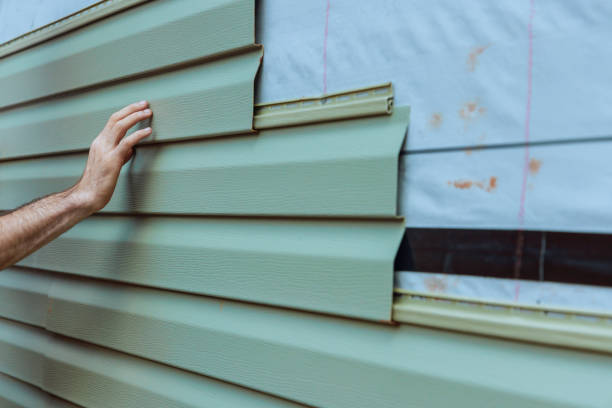 Best Vinyl Siding Installation  in Fox River Grove, IL